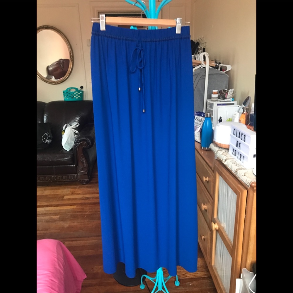 Zara Blur MAXI Skirt